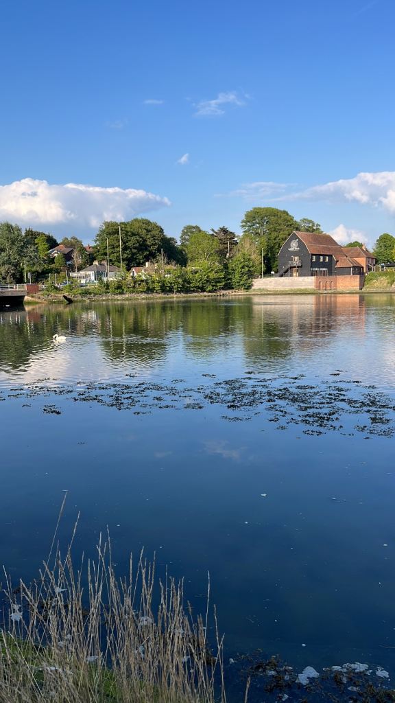 Daytime activity partner wanted