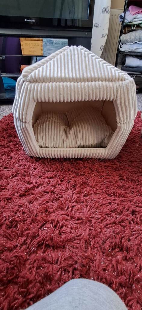 Cat/kitten bed