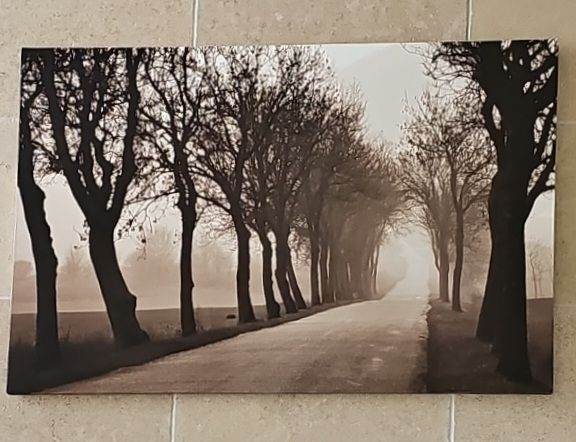 Large Woodland picture 