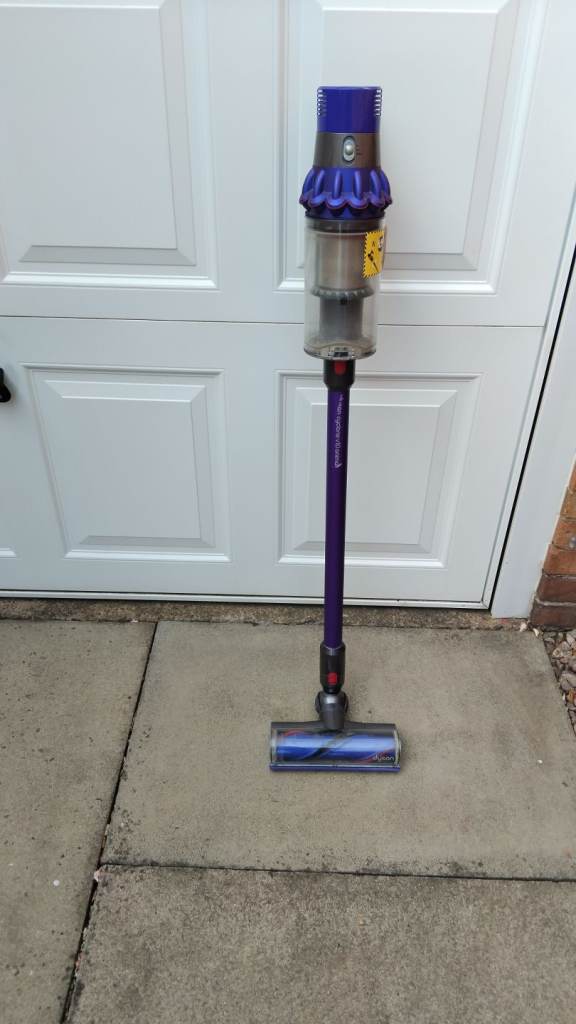 Dyson v10 animal