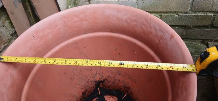 Mixed size plant pots bundle