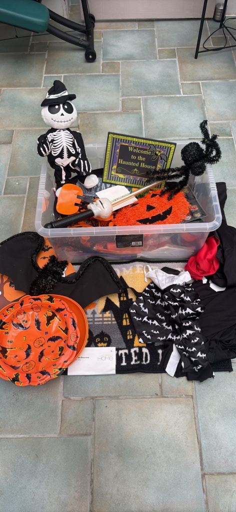 Large Halloween Decorations & Costumes Bundle – £40 🎃👻