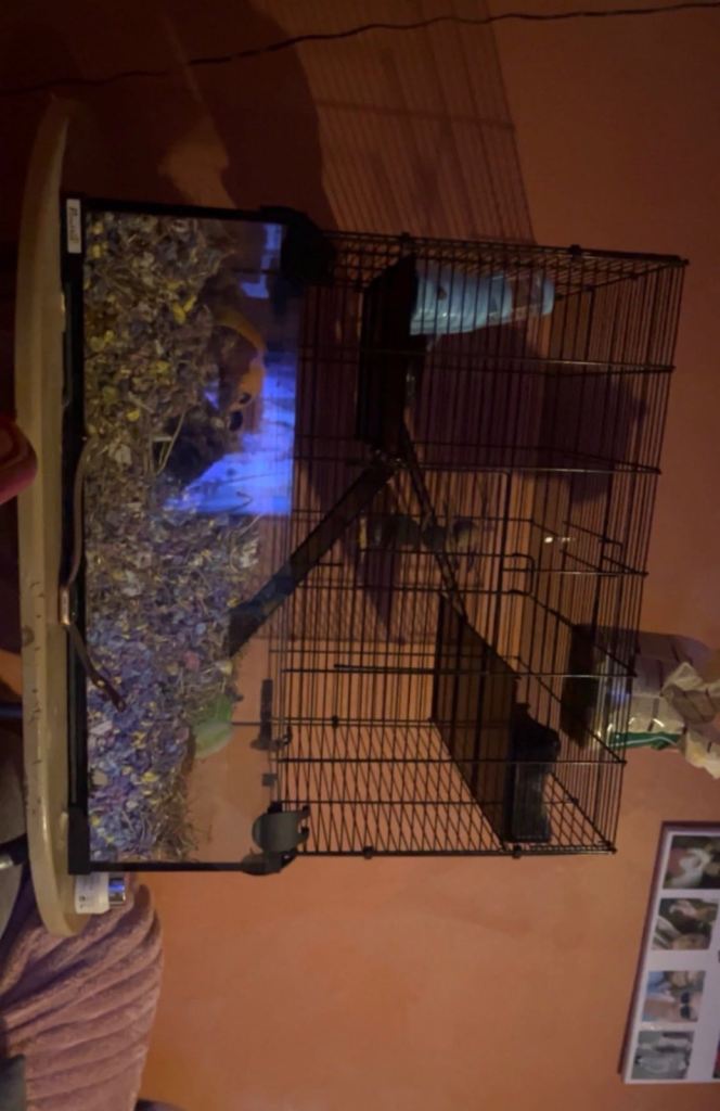 Hamster cage need it gone!