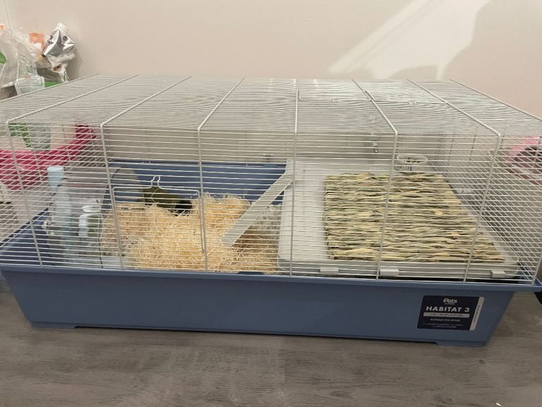 Hamster with cage and full set up 