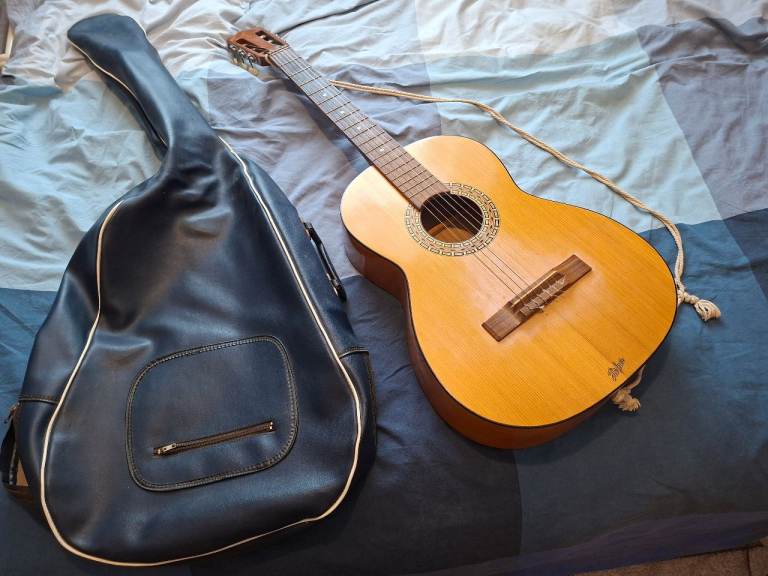 Acoustic guitar with soft case