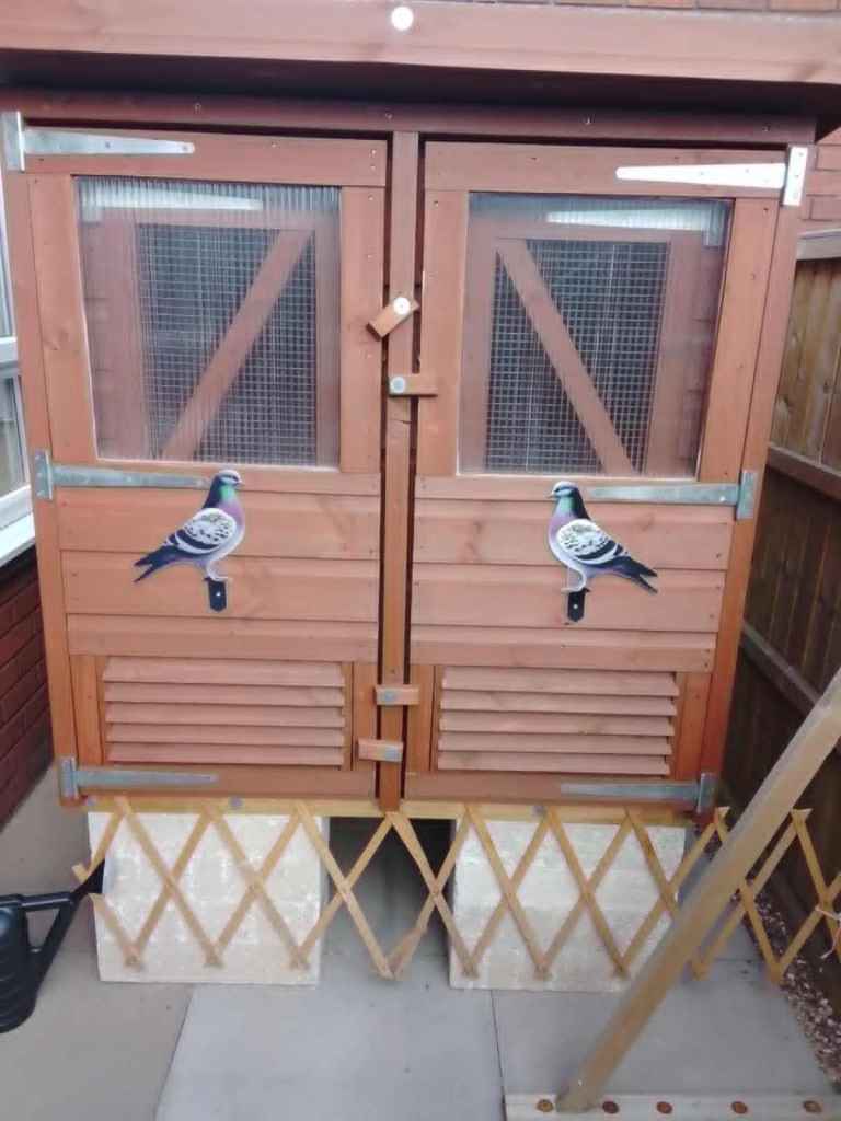 Brand New 4FT x 4FT x 3FT Pigeon Kit Box 