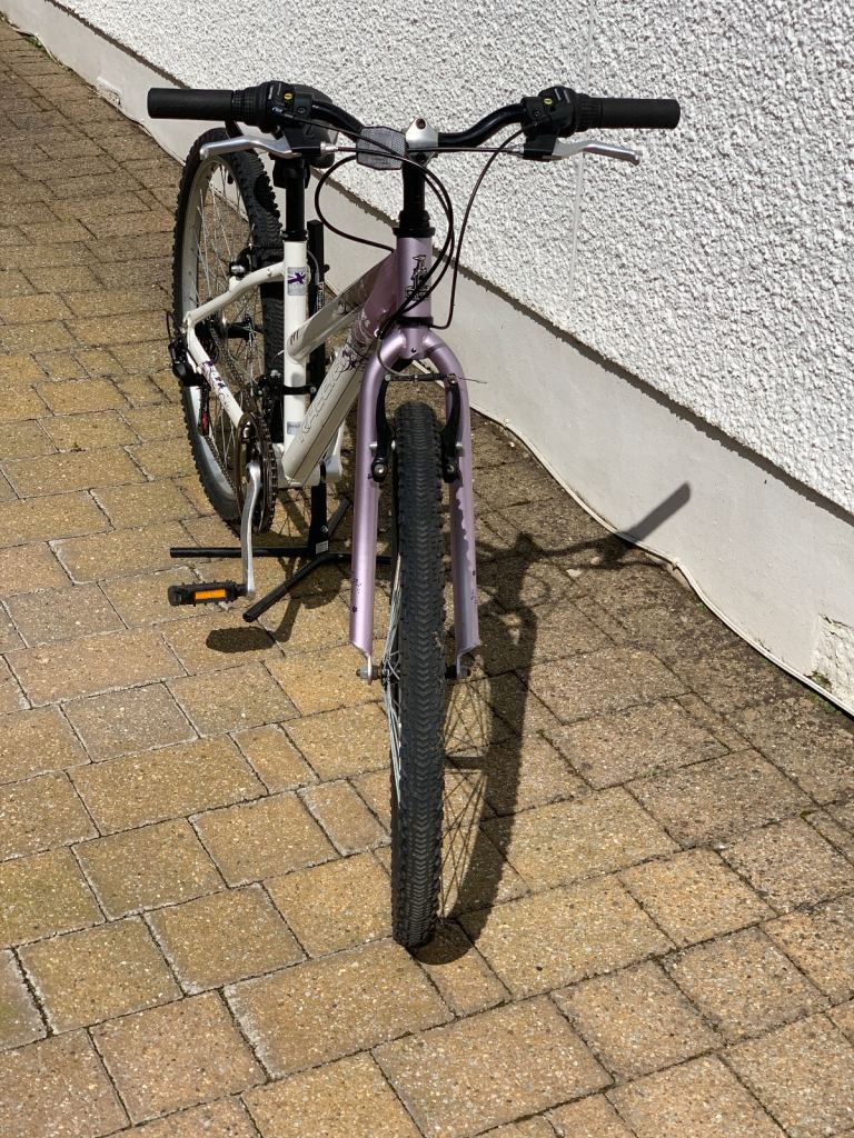 Raleigh 26 inch Bicycle 