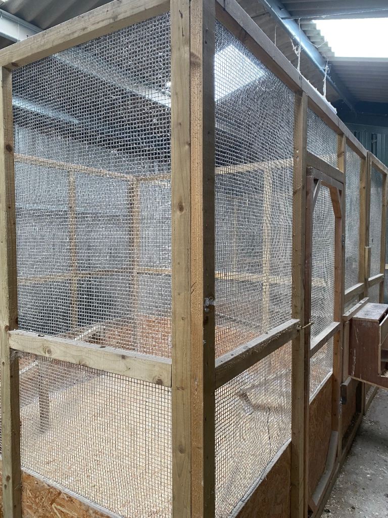 Chicken coop/houses (double)