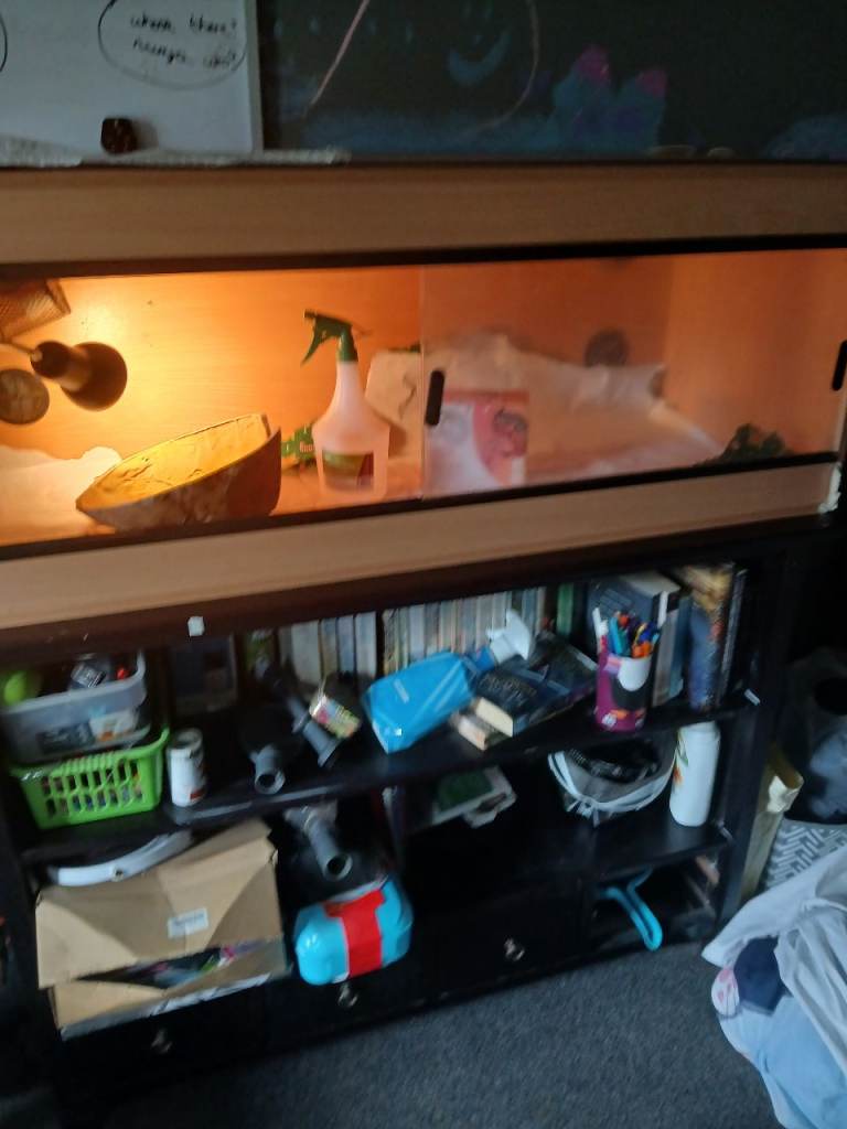 Reptile vivarium 