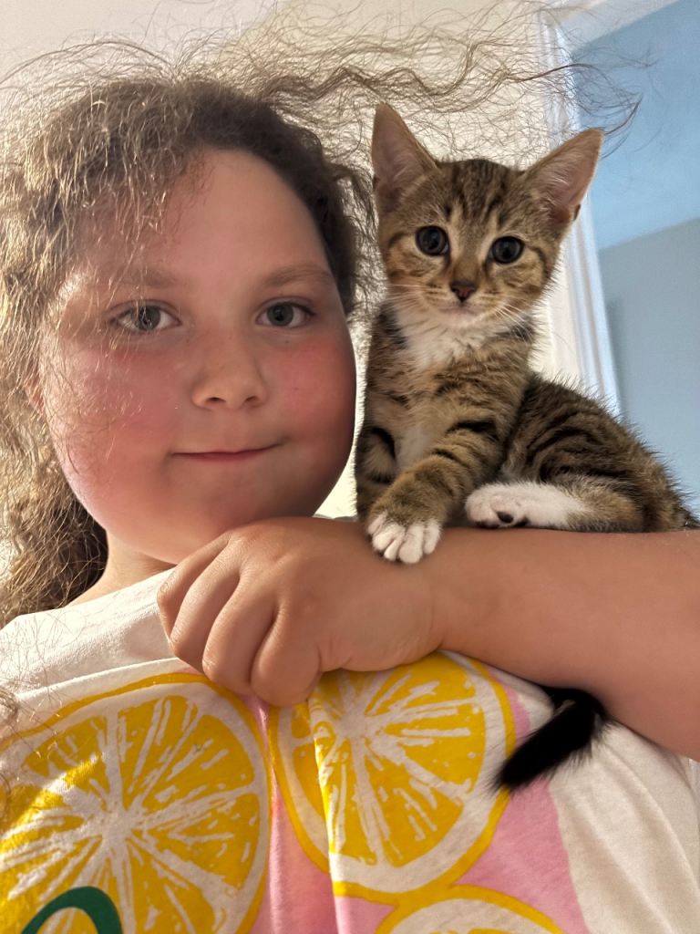 Kitten girl 
