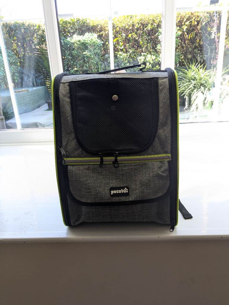 cat back pack