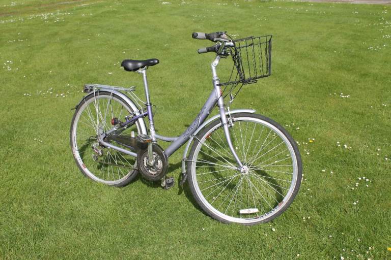 Ladies Raleigh Bike