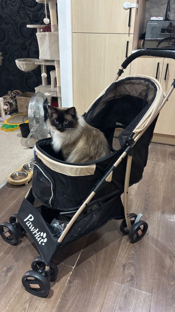Pawhut Pet Dog Cat Stroller S/XS pets 