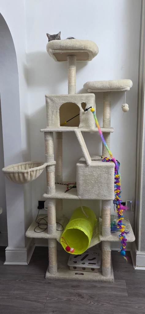 Xxl cat tree 