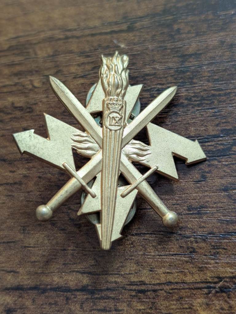 Denmark Danish Army Command Support Regiment Beret Badge