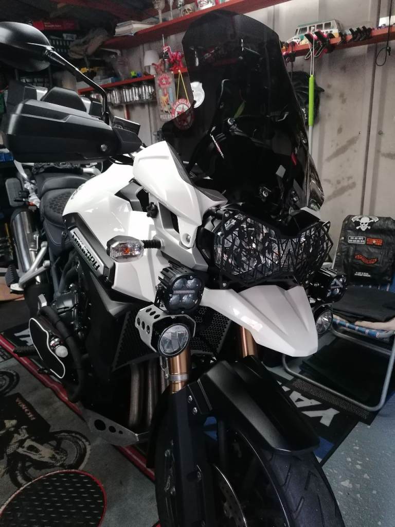 Motorcycle screen 