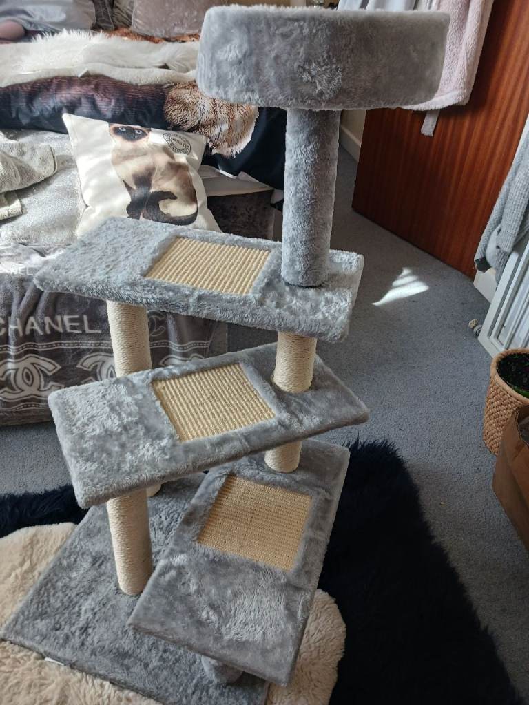Cat climber, Scratch  post