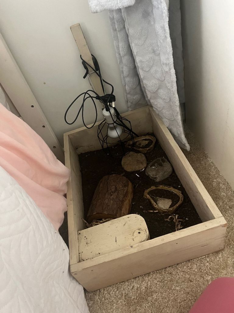 Small tortoise table 