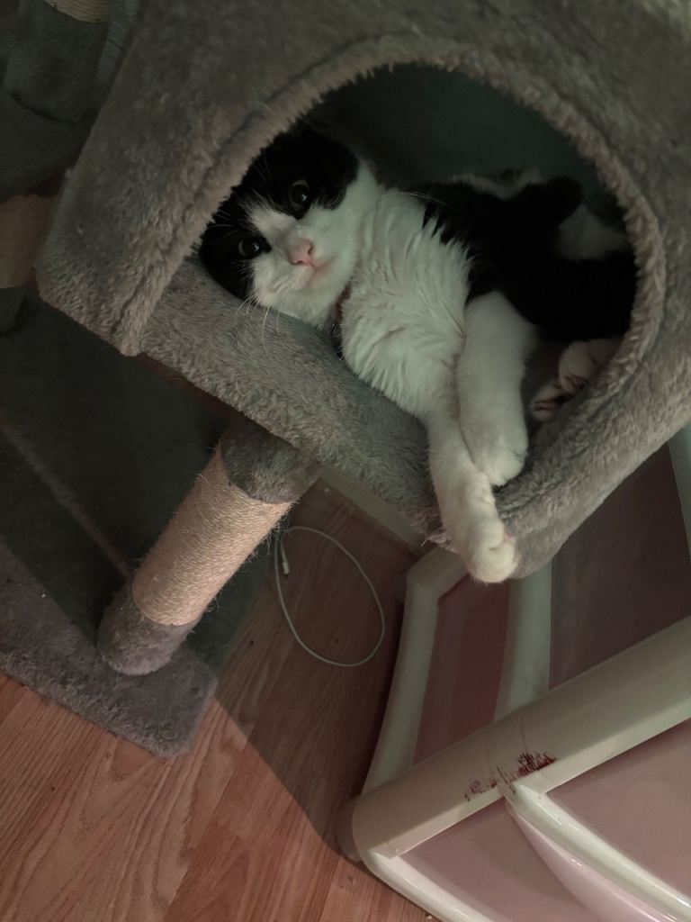 Urgent re home 