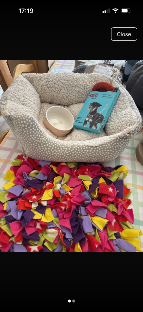 Puppy / small dog bundle 