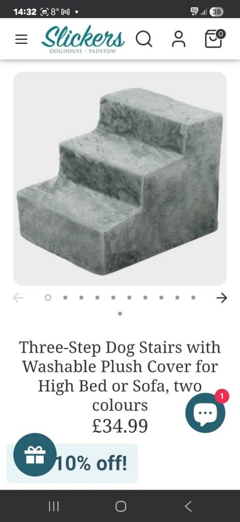 Dog stairs 