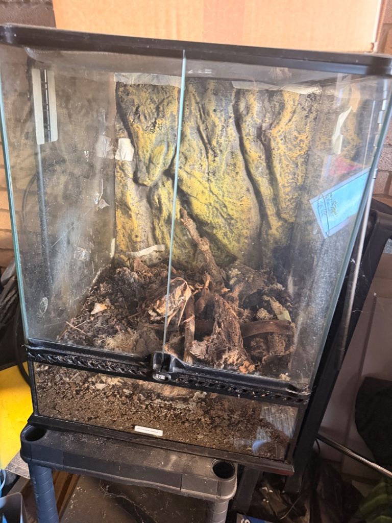 18” x 18” x 24” Glass Reptile Terrarium / Vivarium – £90 ONO
