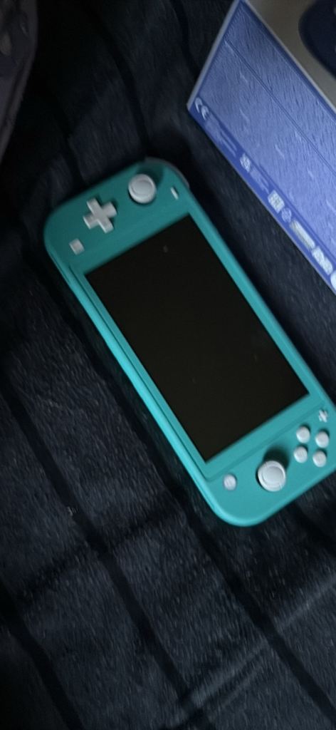 Two Nintendo Switch lite 
