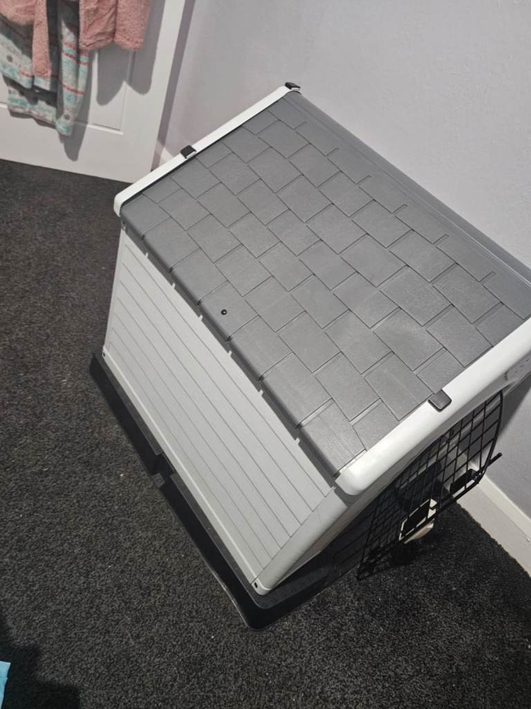 Dog house 