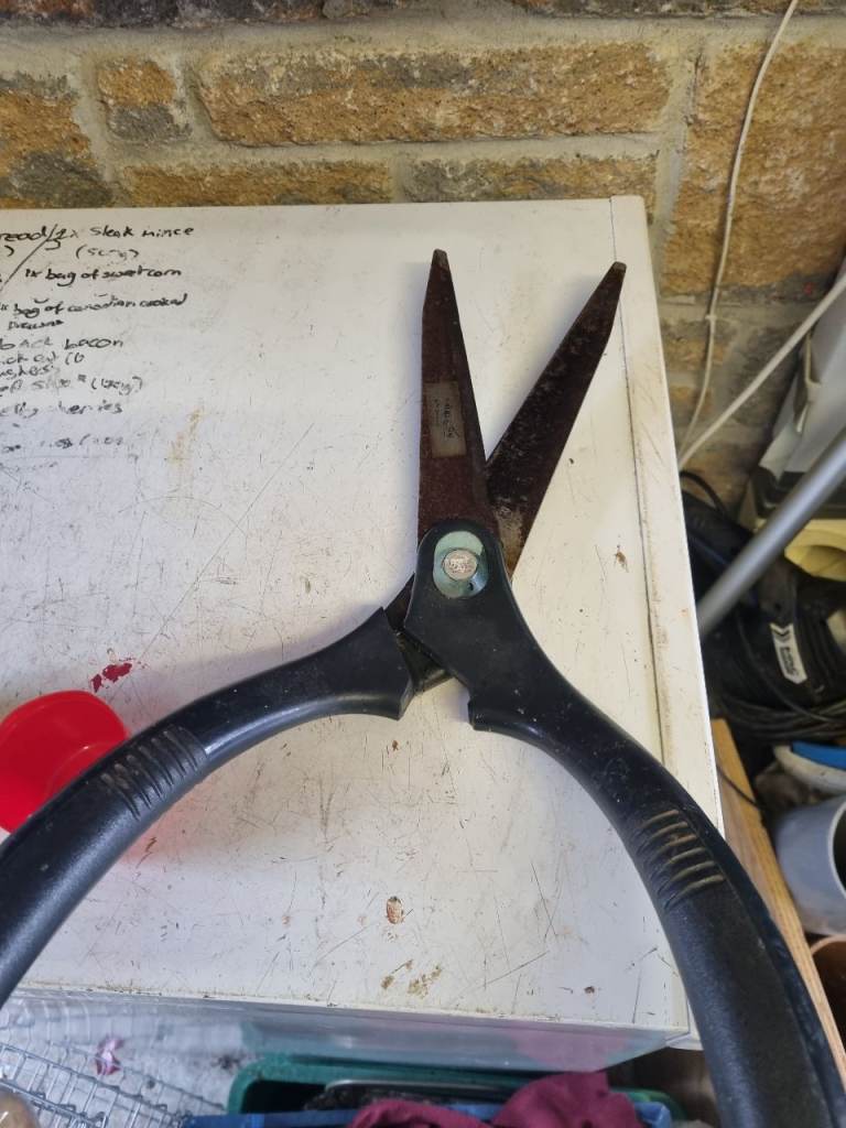 Garden Shears 