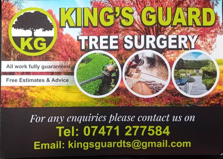 Kings guard tree surgery 