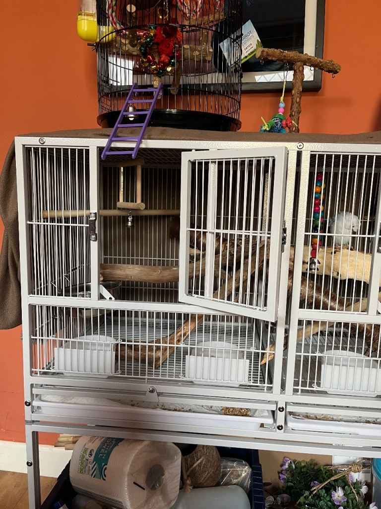 Nearly New Double Bird Cage with Divider