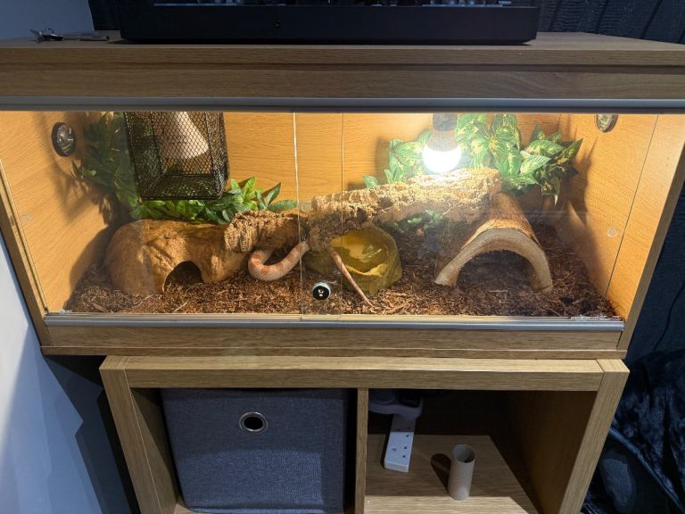 3x1.5x1.5 ft oak vivarium for reptiles 