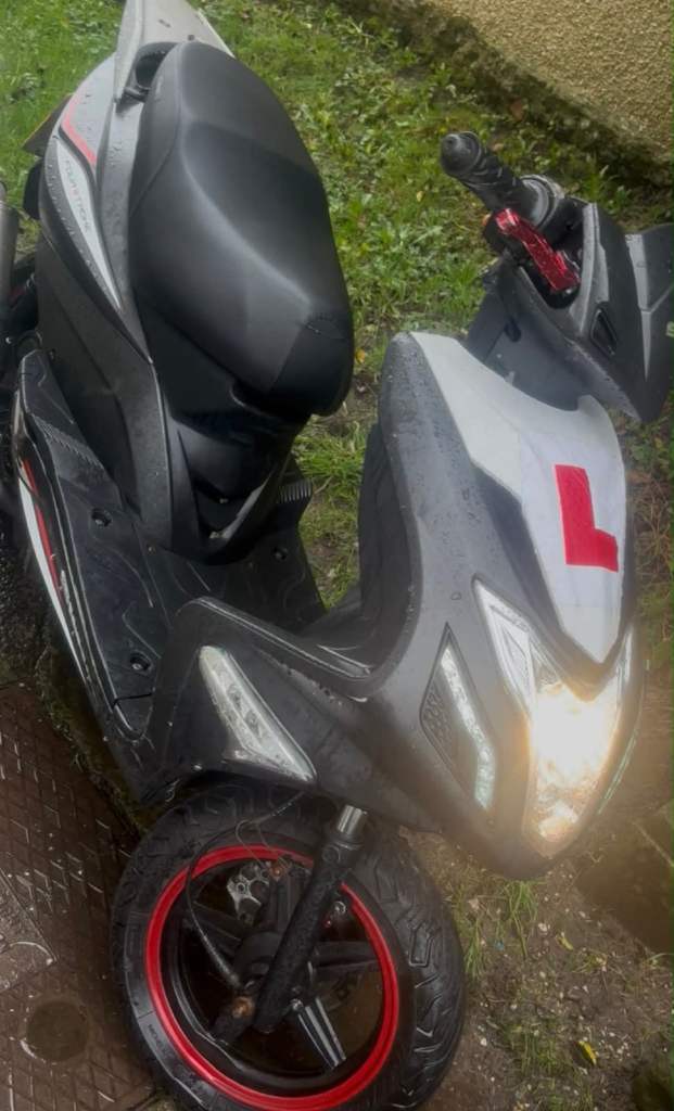 Sinnis, HARRIER, 2018, 125 (cc)