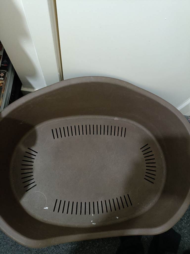 Large dog bed free 