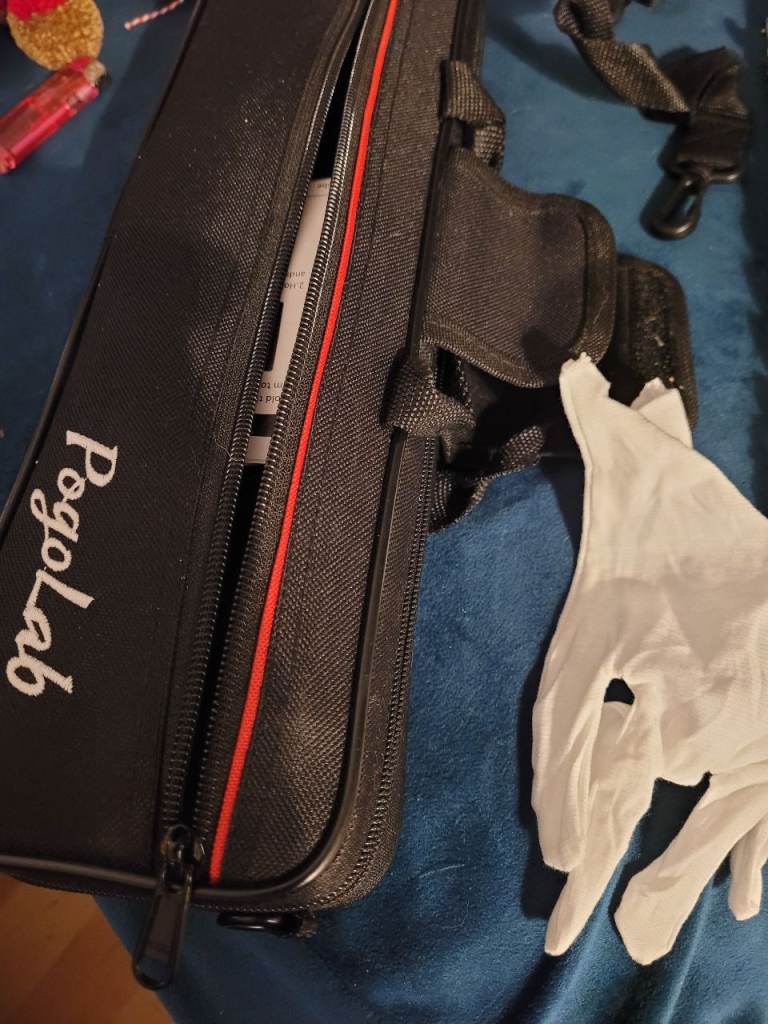Flute and case