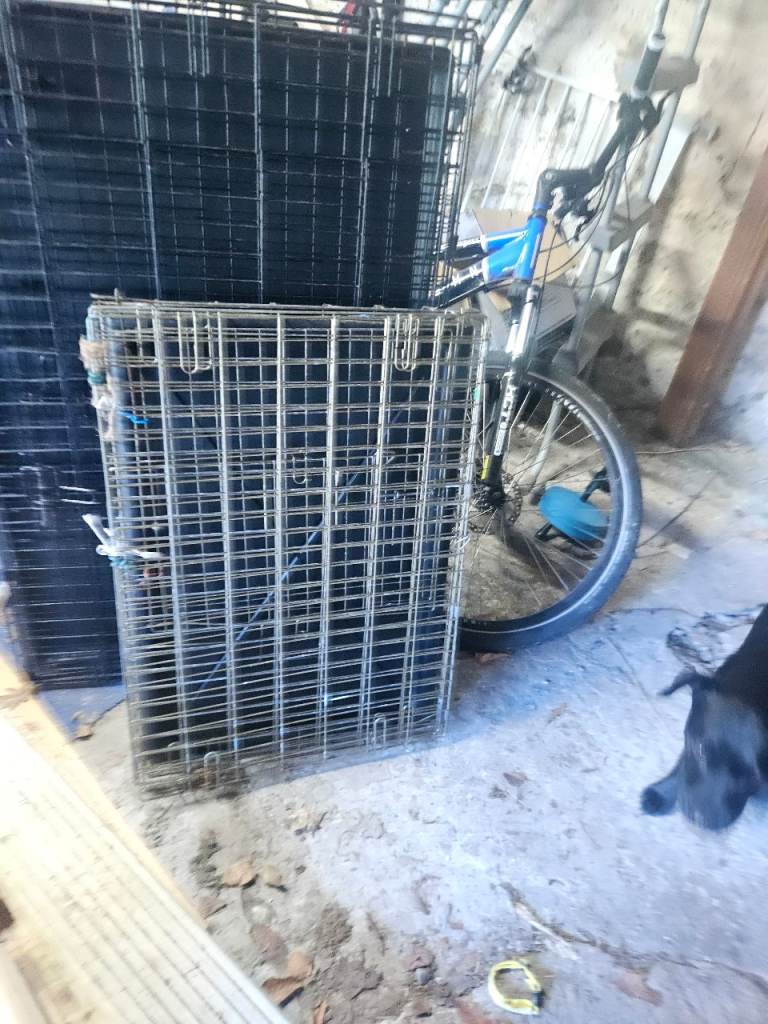 Medium Sized Dog Crate