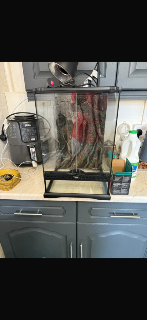 image for Exo Terra Glass Natural Terrarium