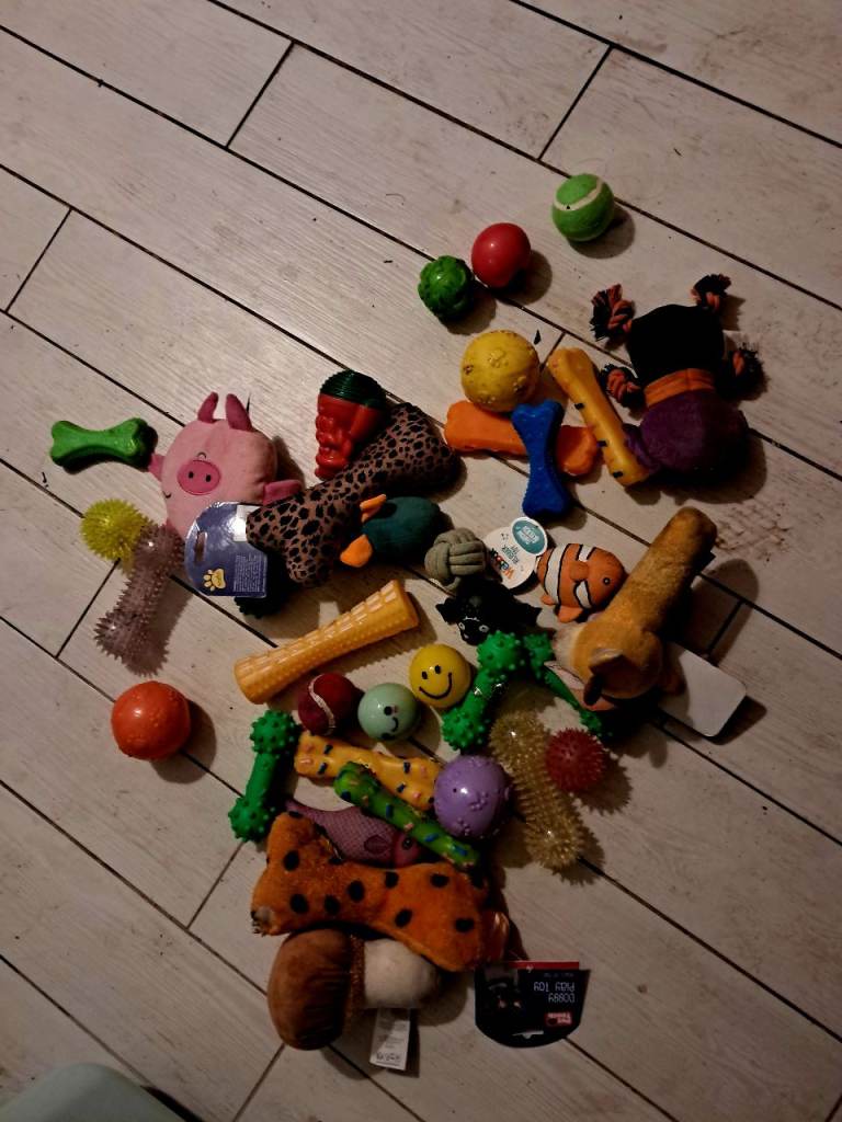 Selection of x40 dog toys