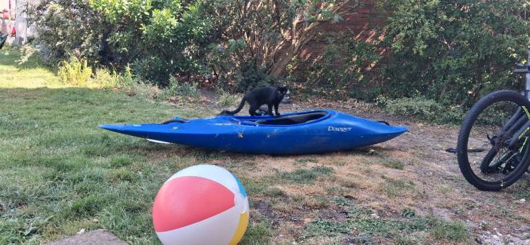 Dagger RPM Kayak with Paddle – Blue, Good Condition