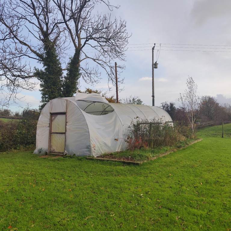 Large polytunnel frame (30ft x 12ft)
