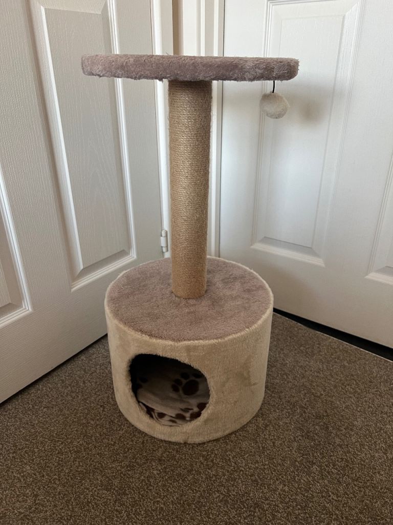 Cat scratch, sleep, hide and play post