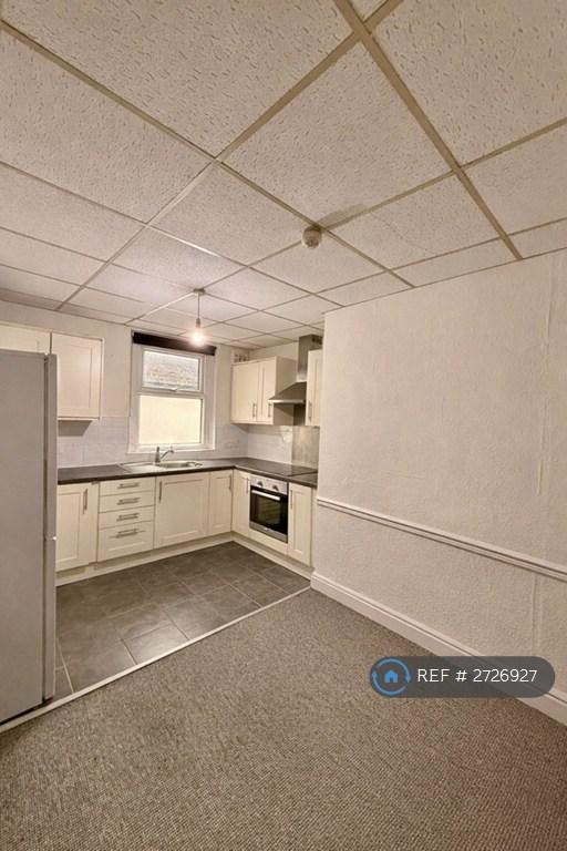 1 bedroom flat in Plasturton Avenue, Cardiff, CF11 (1 bed) (#2726927)