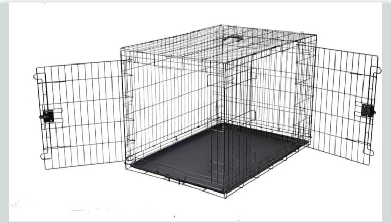 Brand New Dog Create