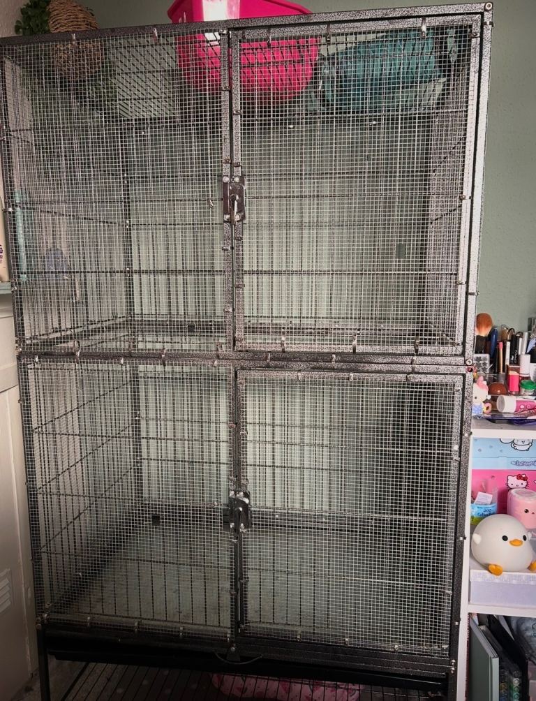 Modified Rat Cage