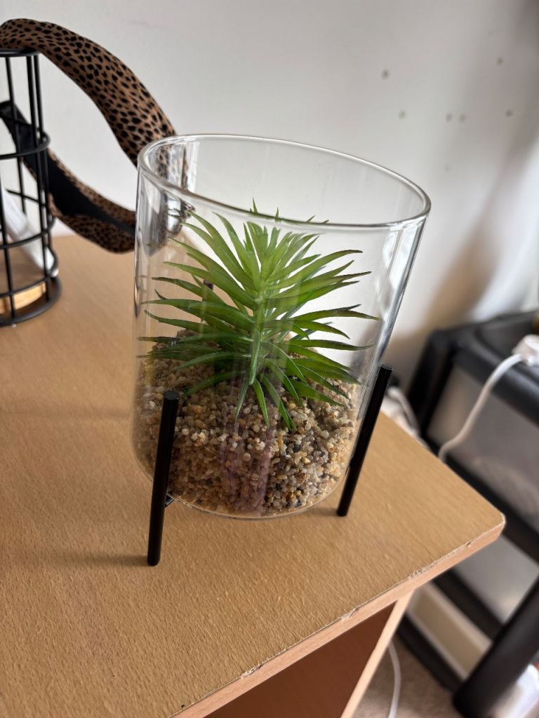 Terrarium style faux plant