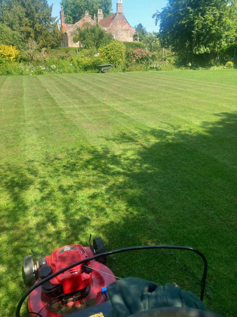 Gardening, lawn cutting