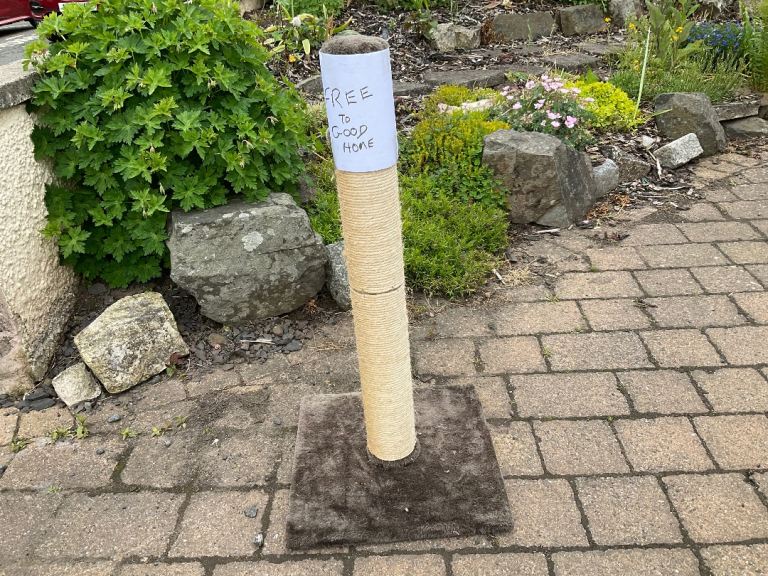 Cat scratch post