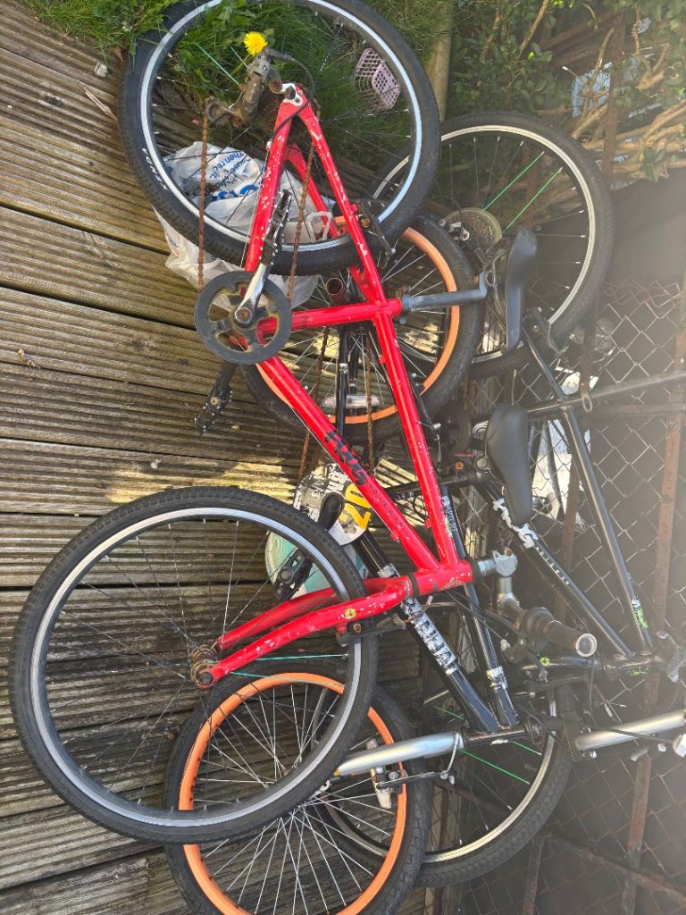 Frog bikes 62 bmx 