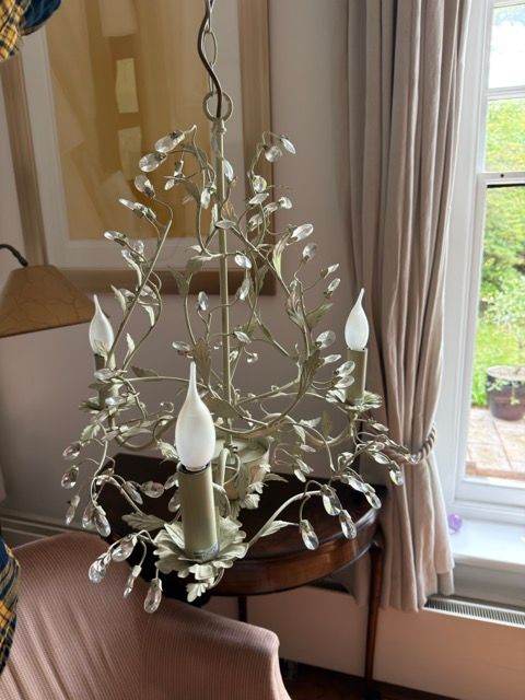 Decorative Metal Chandelier with Leaf Design