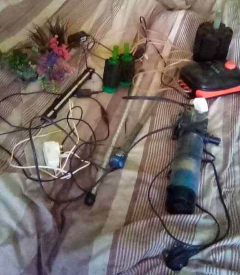 Fish tank supplies